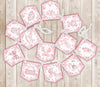 Pink Chinoiserie Toile Floral Baby Shower Banner, Baby Shower Garland