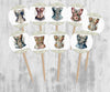 Floral Corset Lingerie Shower Cupcake Toppers, Bachelorette Party Picks, Ooh La La
