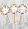 Pink Roses Baby in Bloom Cupcake Toppers, Baby Shower Picks, Oh Baby Girl Boy Twins Floral Gender Neutral, Pink Floral