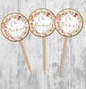 Pink Roses Baby in Bloom Cupcake Toppers, Baby Shower Picks, Oh Baby Girl Boy Twins Floral Gender Neutral, Pink Floral