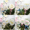 Carousel Horse Birthday or Baby Shower Decorations Package - Custom Banner Garland