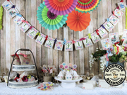 Fiesta Taco Party Baby Shower Decorations