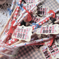 Baby Barbecue BBQ Shower Decorations Red Plaid Baby Q Backyard Rustic Party