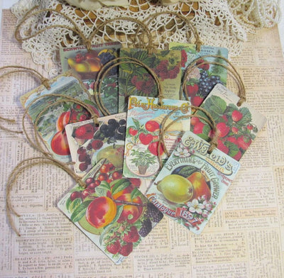 9 Vintage Seed Packet Catalog Image Gift Hang Tags with twine - Vintage Fruit Tags - Printed - Fruit #1