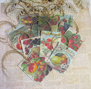 9 Vintage Seed Packet Catalog Image Gift Hang Tags with twine - Vintage Fruit Tags - Printed - Fruit #1