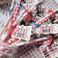 It's a Boy Baby BBQ Shower Package Bundle Kit - Banner Favor Tags Straws