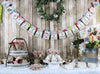 Mexican Fiesta Party Decorations Birthday Baby Bridal Shower
