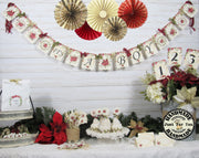 Poinsettia Winter Baby Shower Decorations