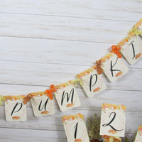 Leaves Pumpkins Watercolor Floral Baby Shower Decorations Package