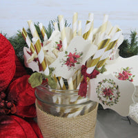 Poinsettia Bridal Shower Decorations Bride to Be Winter Floral Wedding