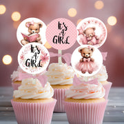 18 It's a Girl Pink Teddy Bear Baby Shower Cupcake Toppers Picks - Set of 18