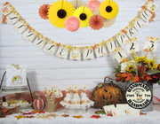 Sunflowers Pumpkins Fall Baby Shower Decorations